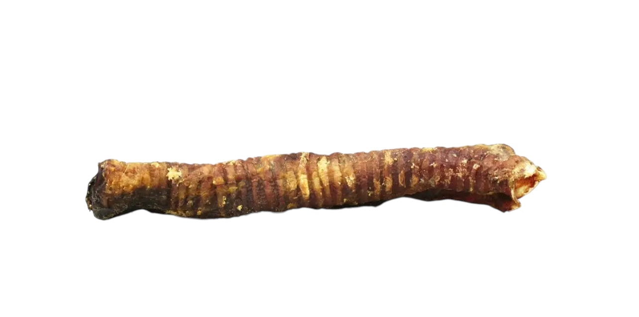 Lamb Trachea- 7-8”