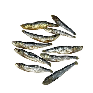 Dehydrated Sardines