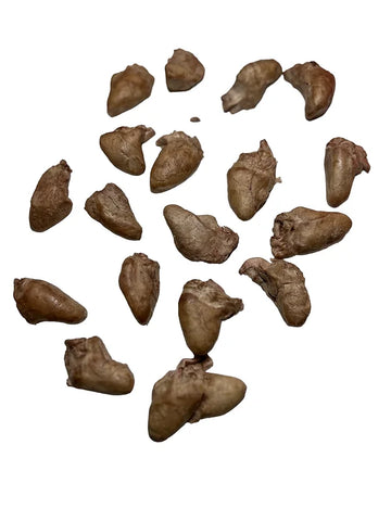 Freeze-Dried Chicken Hearts